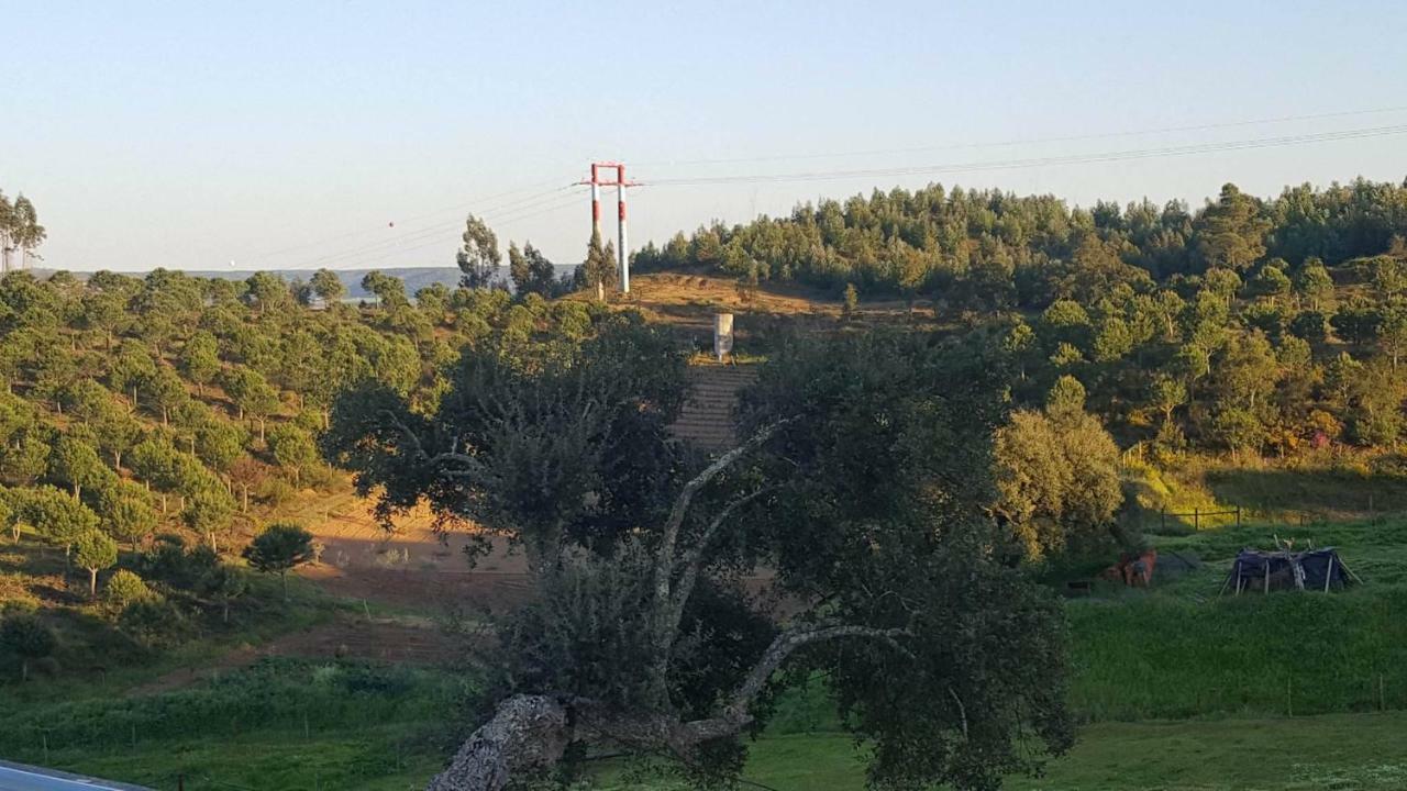 Quinta Do Caneiro - Casa Turismo Rural 콘스탄시아 외부 사진